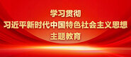 操老熟女大骚逼学习贯彻习近平新时代中国特色社会主义思想主题教育_fororder_ad-371X160(2)